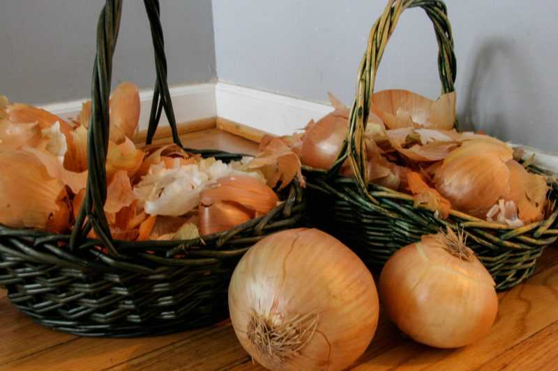 Чем полезен лук для организма человека