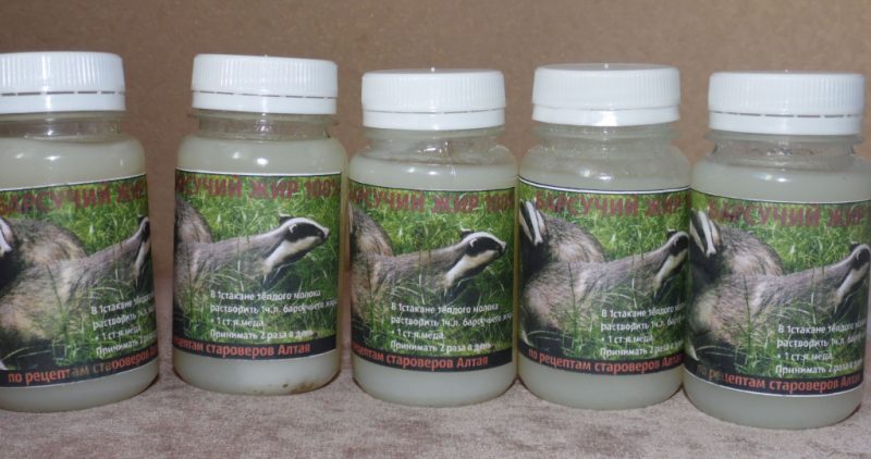 Барсучий жир: применение, от чего он помогает, лечебные свойства, формы выпуска