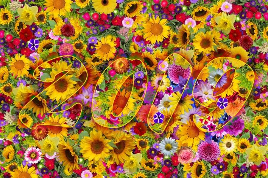 Что нас ожидает в 2019 году