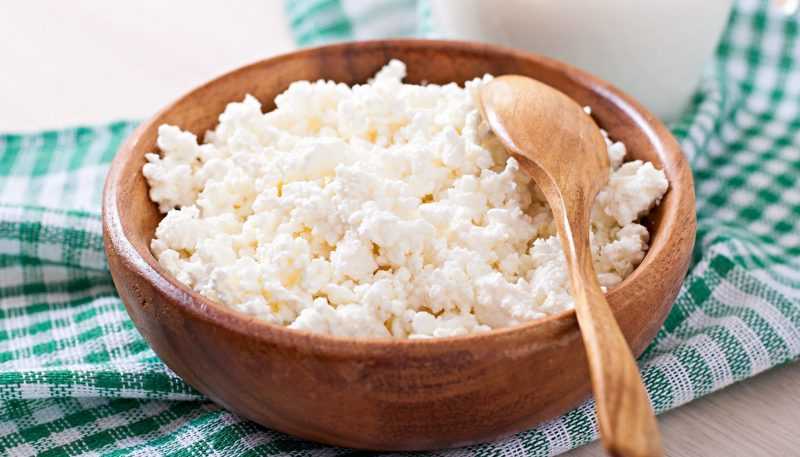 Чем полезен творог? Польза обезжиренного и жирного творога для организма человека