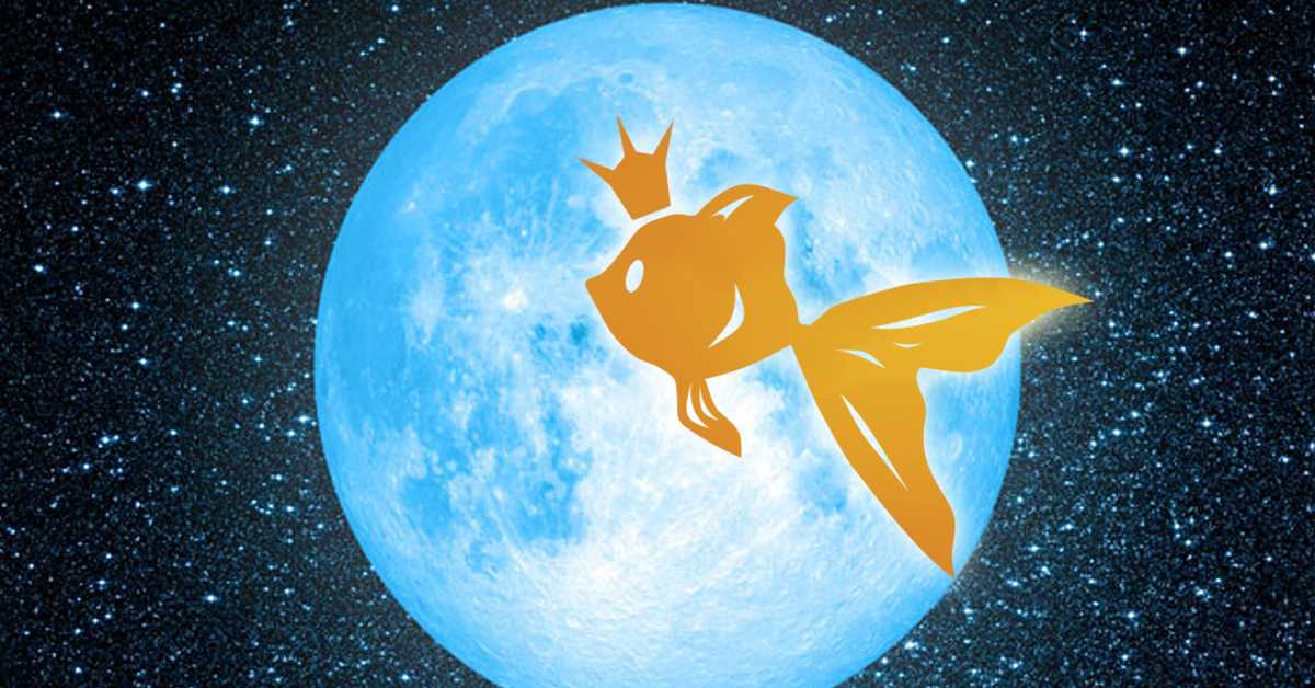 Необыкновенное Полнолуние Золотой Рыбы 23 ноября 2018 года. Вот какие возможности дарит всем