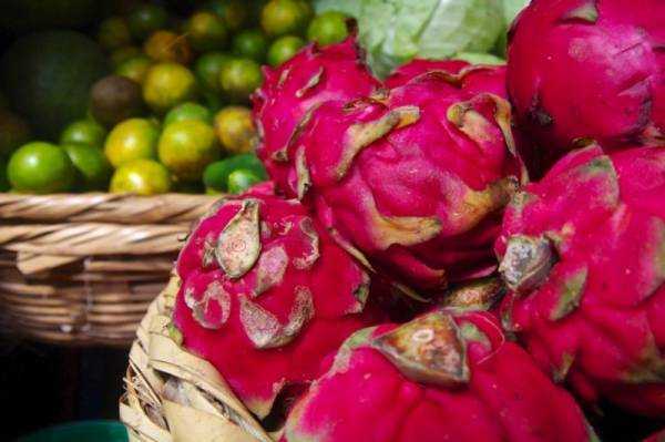 Фрукт питахайя (питайя, драгонфрут): вкус, полезные свойства, как едят