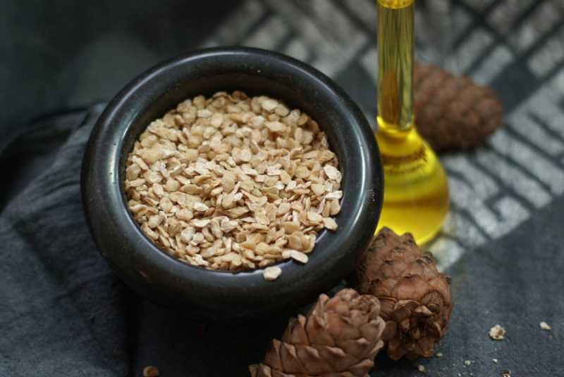 Чем полезны кедровые орехи: лечебные свойства и противопоказания