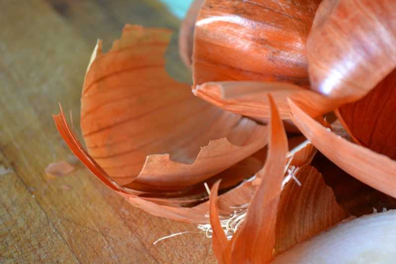 Чем полезен лук для организма человека