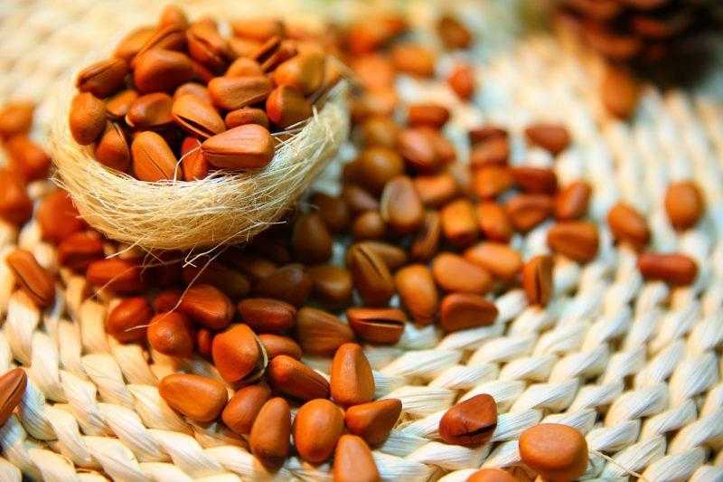 Кедровые орехи - полезные свойства и противопоказания