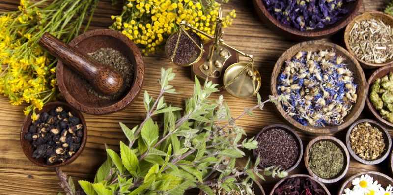 Лечение щитовидной железы у женщин народными средствами