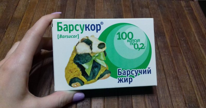 Барсучий жир: лечебные свойства и противопоказания, применение, и от чего он помогает
