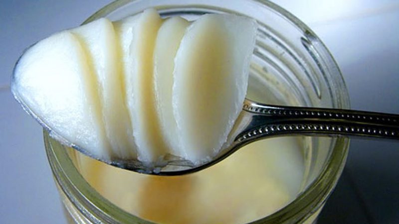 Барсучий жир: применение, от чего он помогает, лечебные свойства, формы выпуска