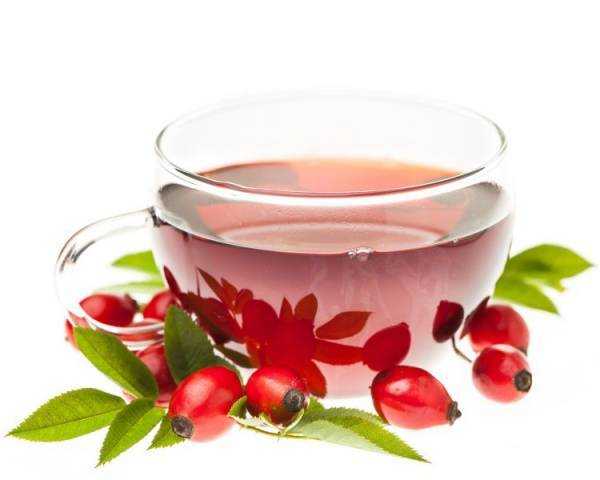Отвар шиповника: польза и противопоказания, 4 рецепта приготовления