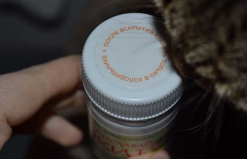 Барсучий жир: применение, от чего он помогает, лечебные свойства, формы выпуска