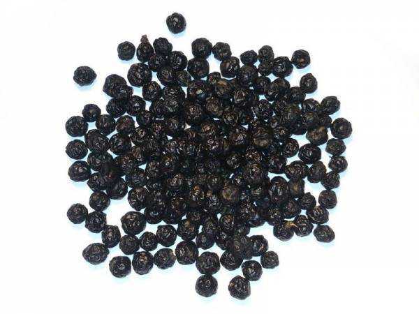 Бархат амурский: описание растения, лечебные свойства, применение