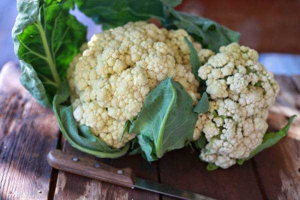 Цветная капуста: полезные и лечебные свойства для здоровья, противопоказания