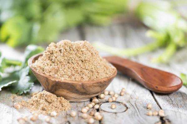 Кориандр – полезные свойства и противопоказания