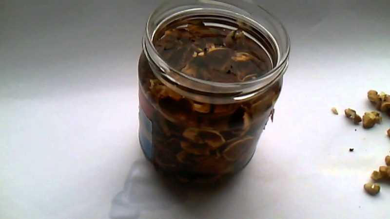 Перегородки грецких орехов – лечебные свойства и противопоказания, рецепты настоек и отваров