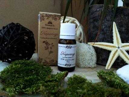 Кориандр – полезные свойства и противопоказания