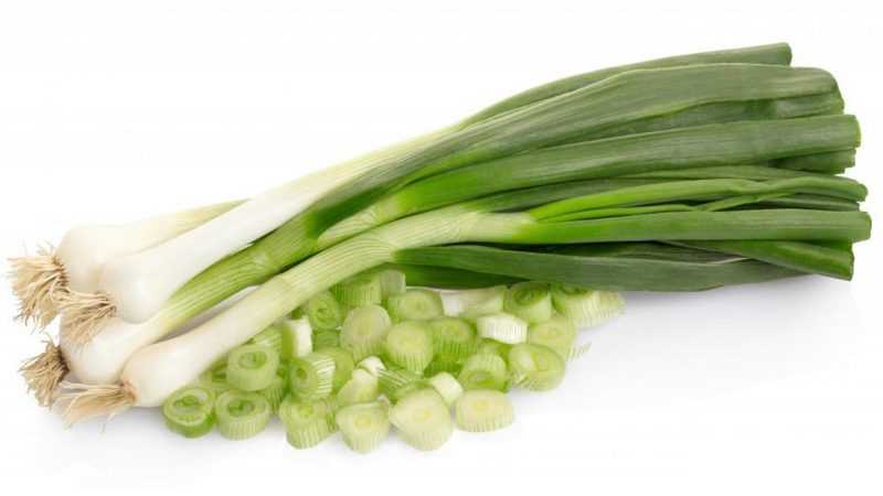 Чем полезен лук для организма человека