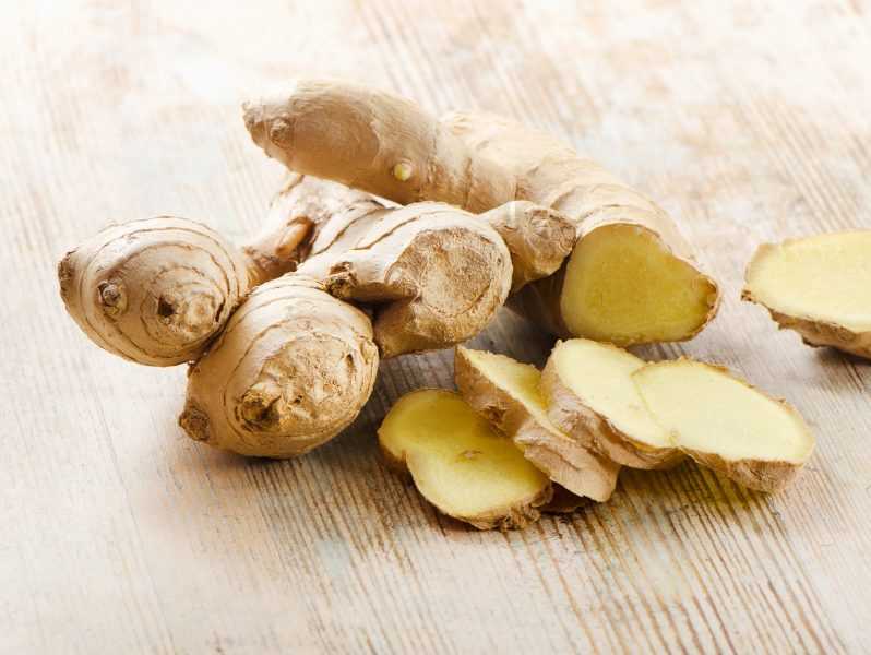 Можно ли беременным имбирь на ранних и поздних сроках беременности?