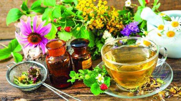 Настойка пиона: инструкция по применению, от чего помогает