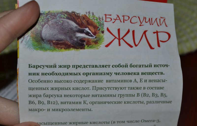 Барсучий жир: применение, от чего он помогает, лечебные свойства, формы выпуска