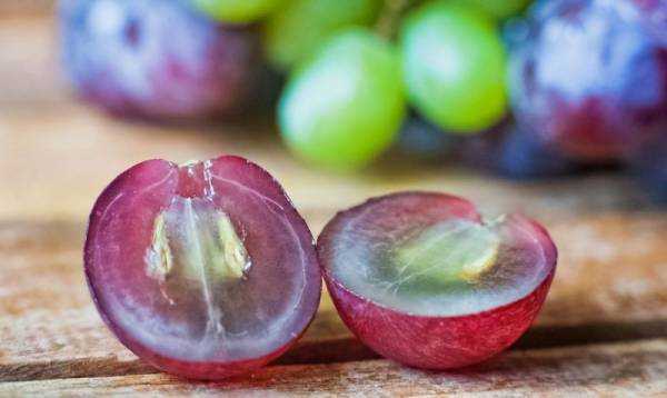 Полезно ли виноград есть с косточками thumbnail