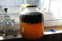 Настойка из пчелиного подмора: лечебные свойства, способы приготовления, применение