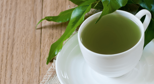 Зеленый кофе: польза и противопоказания, как правильно заваривать и пить для похудения