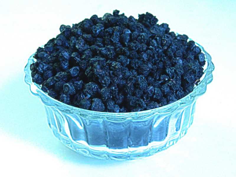 Голубика: полезные свойства для здоровья человека, противопоказания