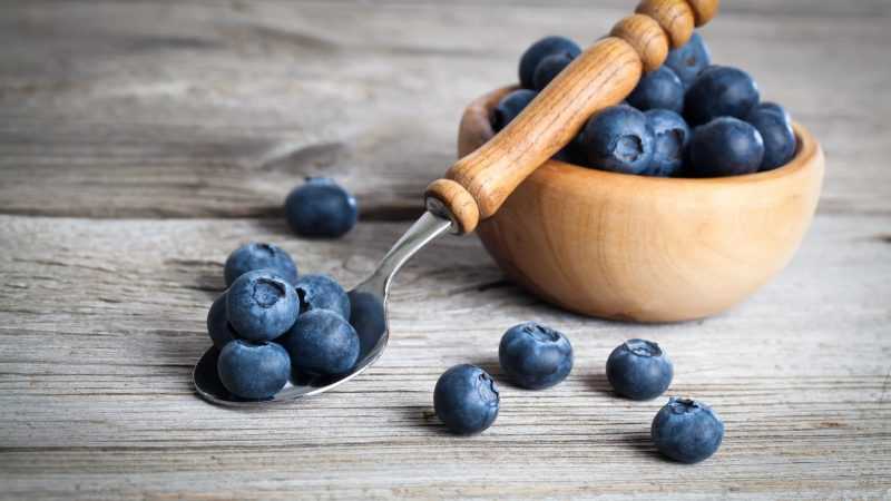 Голубика: полезные свойства для здоровья человека, противопоказания