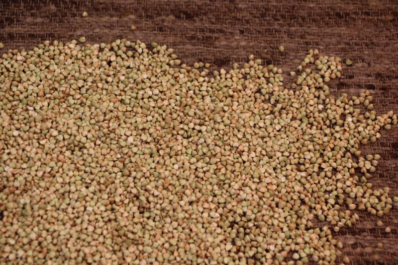 Зеленая гречка: польза и вред, чем отличается от обычной, как прорастить зеленую гречку и как правильно её приготовить