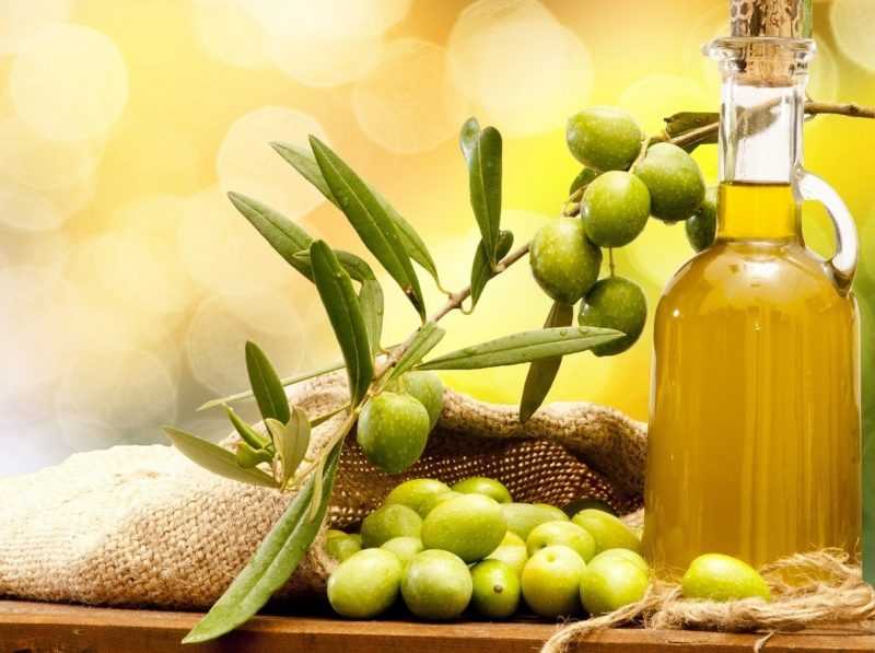 Оливковое масло (Olive Oil): полезные свойства и противопоказания