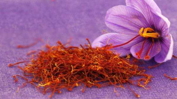 приправа saffron для каких блюд подходит. Смотреть фото приправа saffron для каких блюд подходит. Смотреть картинку приправа saffron для каких блюд подходит. Картинка про приправа saffron для каких блюд подходит. Фото приправа saffron для каких блюд подходит