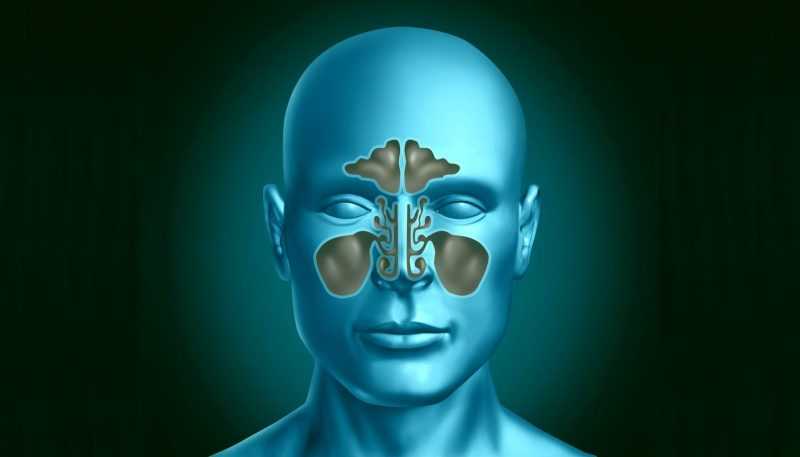 Народные средства от гайморита: лечение гайморита у взрослых и детей в домашних условиях