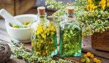 Пижма: полезные и лечебные свойства и противопоказания