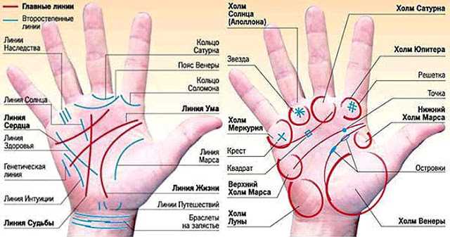 Знаки денег на ладони: насколько высоки ваши шансы разбогатеть