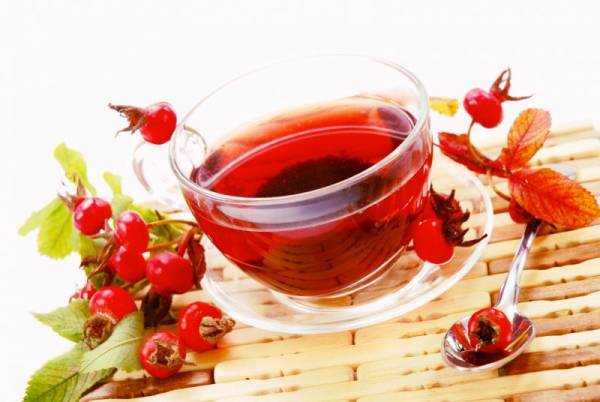 Отвар шиповника: польза и противопоказания, 4 рецепта приготовления