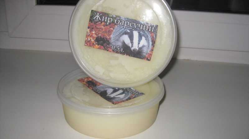 Барсучий жир: лечебные свойства и противопоказания, применение, и от чего он помогает