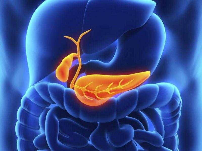 Лечение холецистита народными средствами – самые эффективные методики