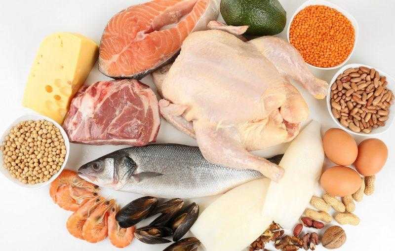 Продукты, содержащие белок, – таблица содержания животного и растительного