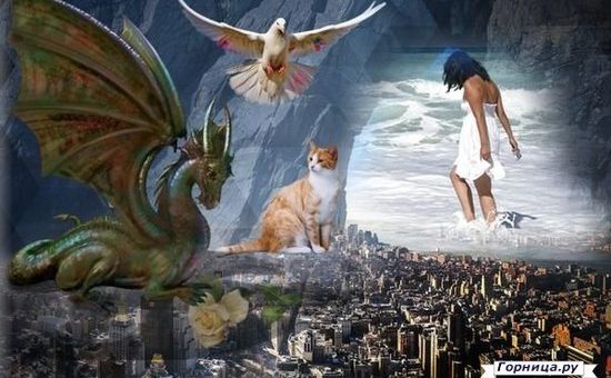 Первое, что вы увидите, покажет, что нужно для вашего счастья...