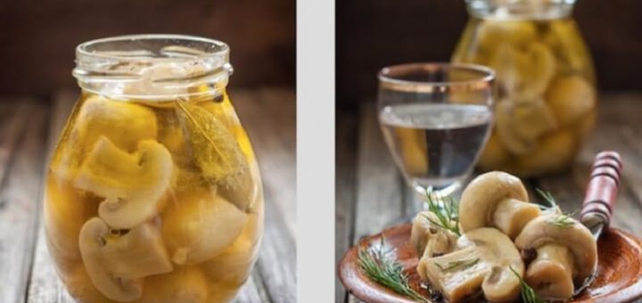 Маринованные Шампиньоны ВСЕГО За 5 Минут. Чудеса для каждой хозяйки!