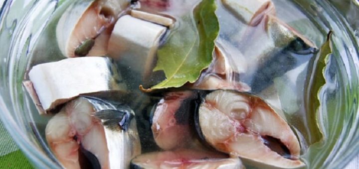 Как мариновать рыбу: 9 вкусных маринадов для рыбы