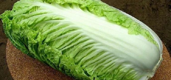 ТОП-6 Салатов с Пекинской Капустой!