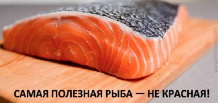 Самая полезная рыба — не красная!
