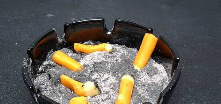 Повар создаёт десерты, внешний вид которых может оттолкнуть. Но узнав их состав, хочется попробовать всё