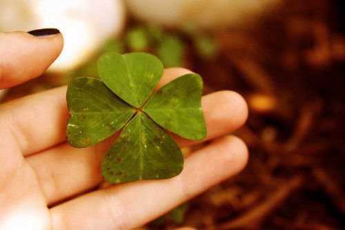 Четырехлистный клевер в виде талисмана