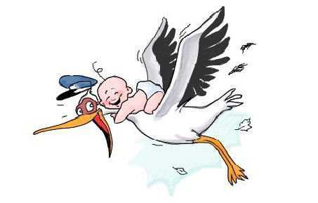 Определение количества детей по линиям на ладони