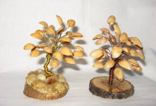 Магические свойства деревьев-талисманов