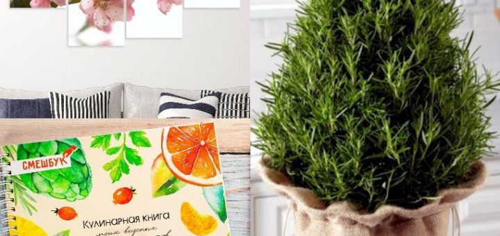 Подарок свекрови на Новый 2019 год свиньи: оригинальные идеи