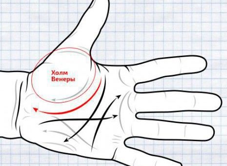 Об отношениях с людьми можно узнать по линиям влияния на руке