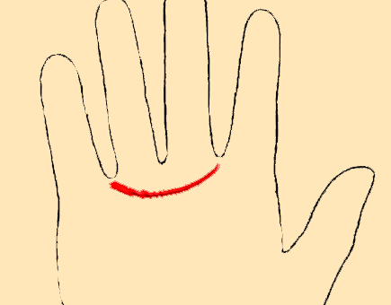 Значение пояса Венеры